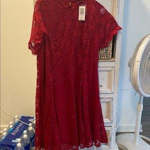 Torrid lace knee length dress